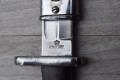 GE499P
